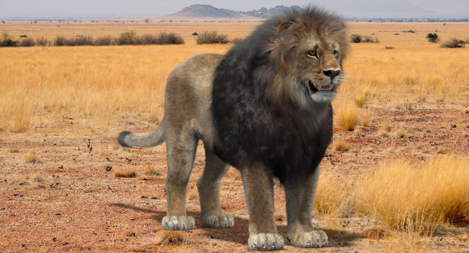 Lion 3D Model with Fur for Download