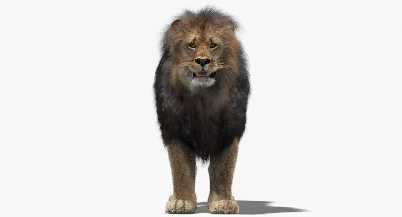 Lion 3D Model with Fur your project