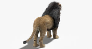 Realistic Lion 3D Model for Download Thumbnail