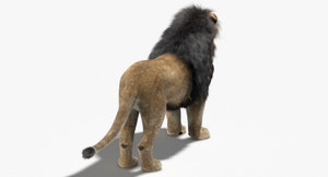 Realistic Lion 3D Model for Download Thumbnail