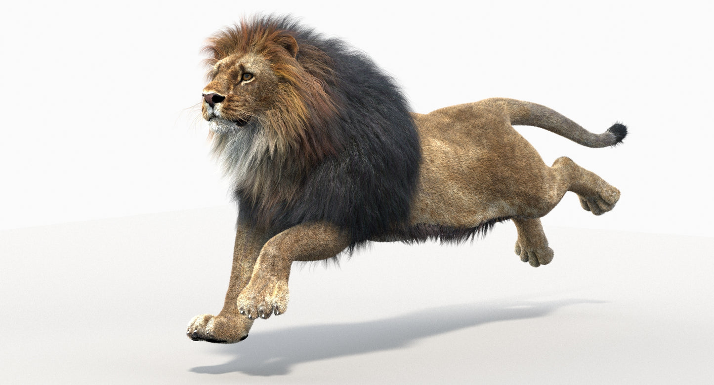 Animated Big Cats 3D Model Fur