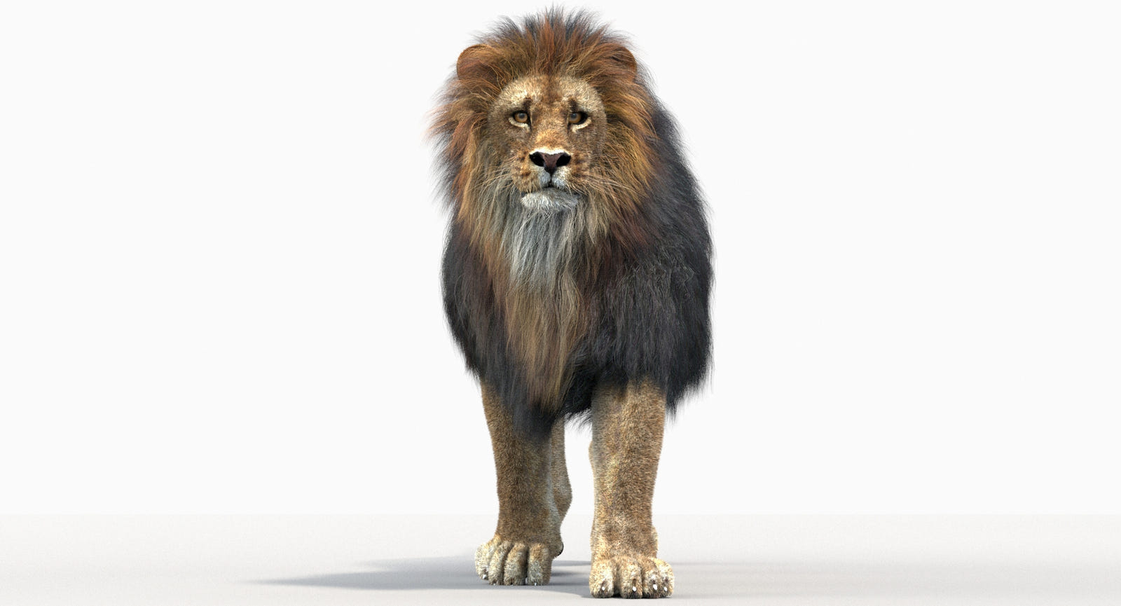 Animated Lion 3D Model for Download