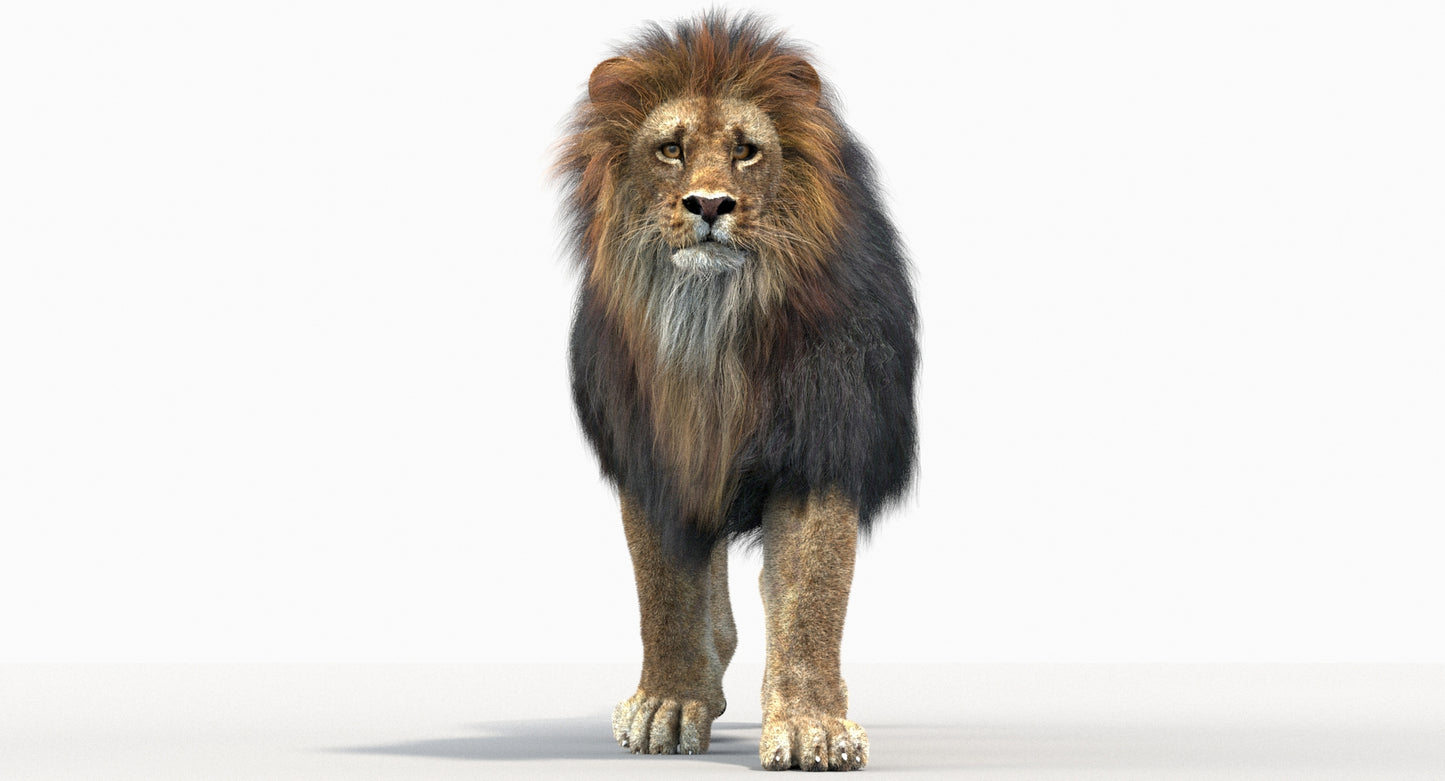 Animated Big Cats 3D Model Fur