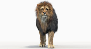 Animated Lion 3D Model for Download Thumbnail