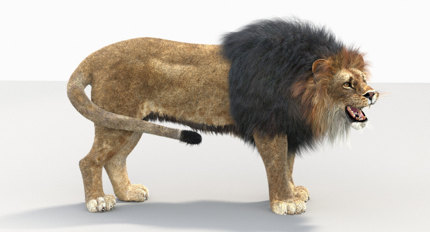Animated Big Cats 3D Model Fur