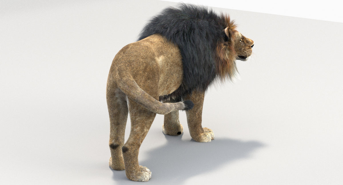 Animated Big Cats 3D Model Fur