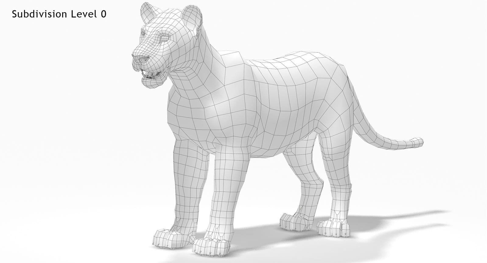 Animated Big Cats 3D Model Fur