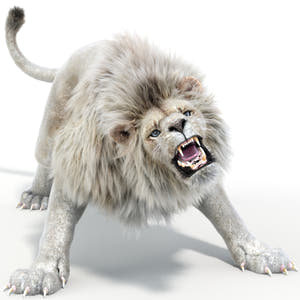 Roaring White Lion 3D Model with Fur For Download Thumbnail