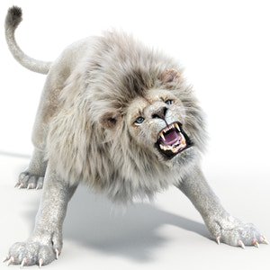 Roaring White Lion 3D Model with Fur For Download Thumbnail