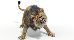 Animated Lion 3D Model with Fur For Download Thumbnail