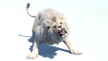 Lion Animated 3D Model Fur Two colors