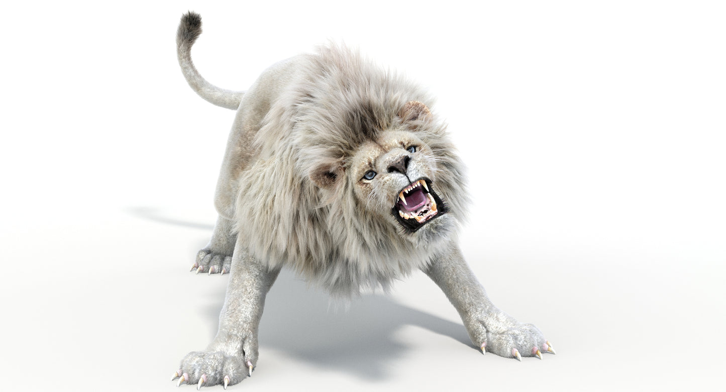 Lion Animated 3D Model Fur Two colors