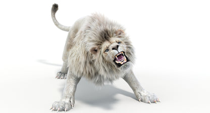 Lion Animated 3D Model Fur Two colors