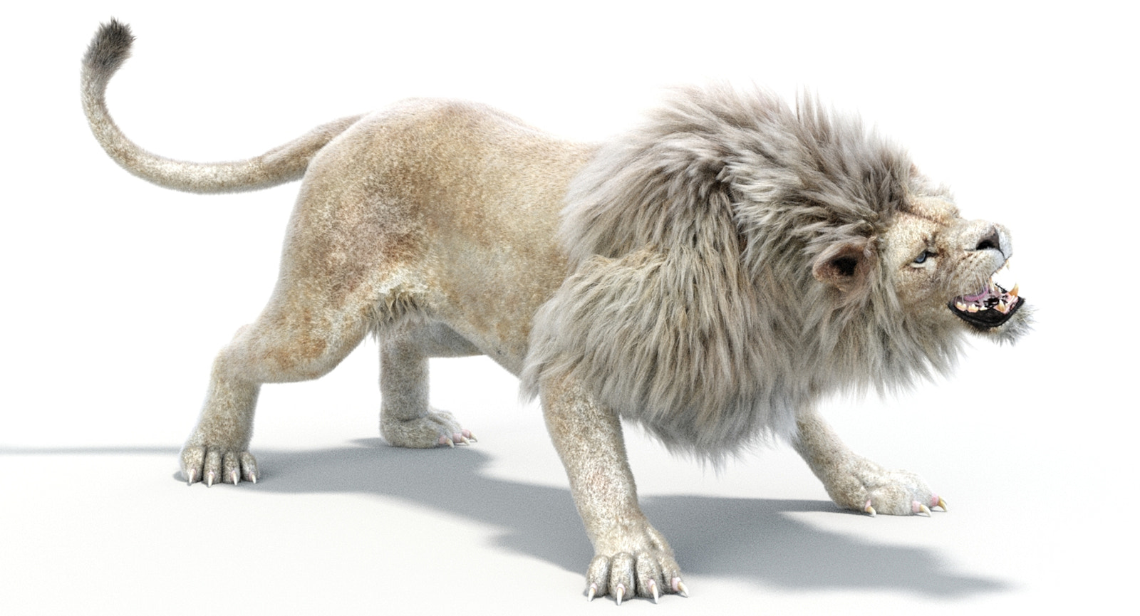Animated Lion 3D Model with White Fur for Download