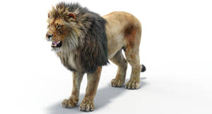 Realistic Lion 3D Model with Fur for Rendering Project Thumbnail