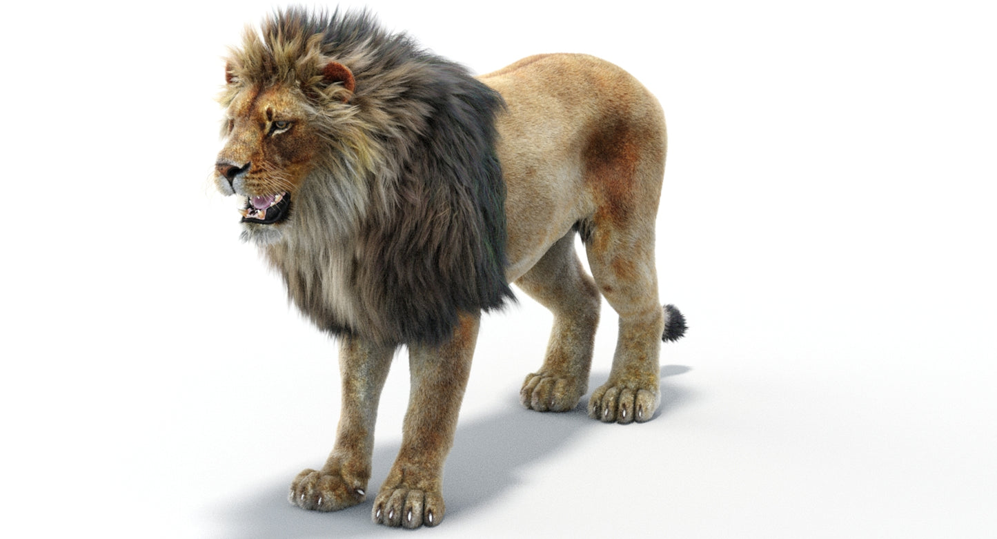 Lion 3D Model with Fur