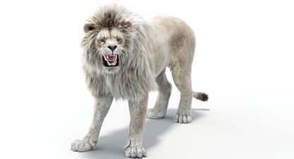 Lion Animated 3D Model Fur Two colors