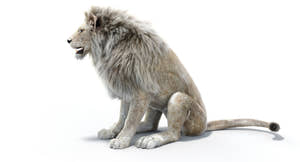 Lion Animated 3D Model Fur Two colors Thumbnail