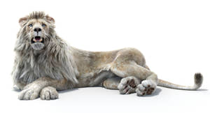 Lion Animated 3D Model Fur Two colors Thumbnail