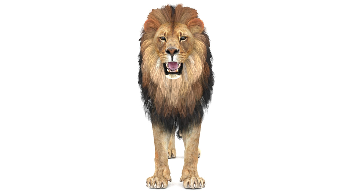 Lion 3d model for download