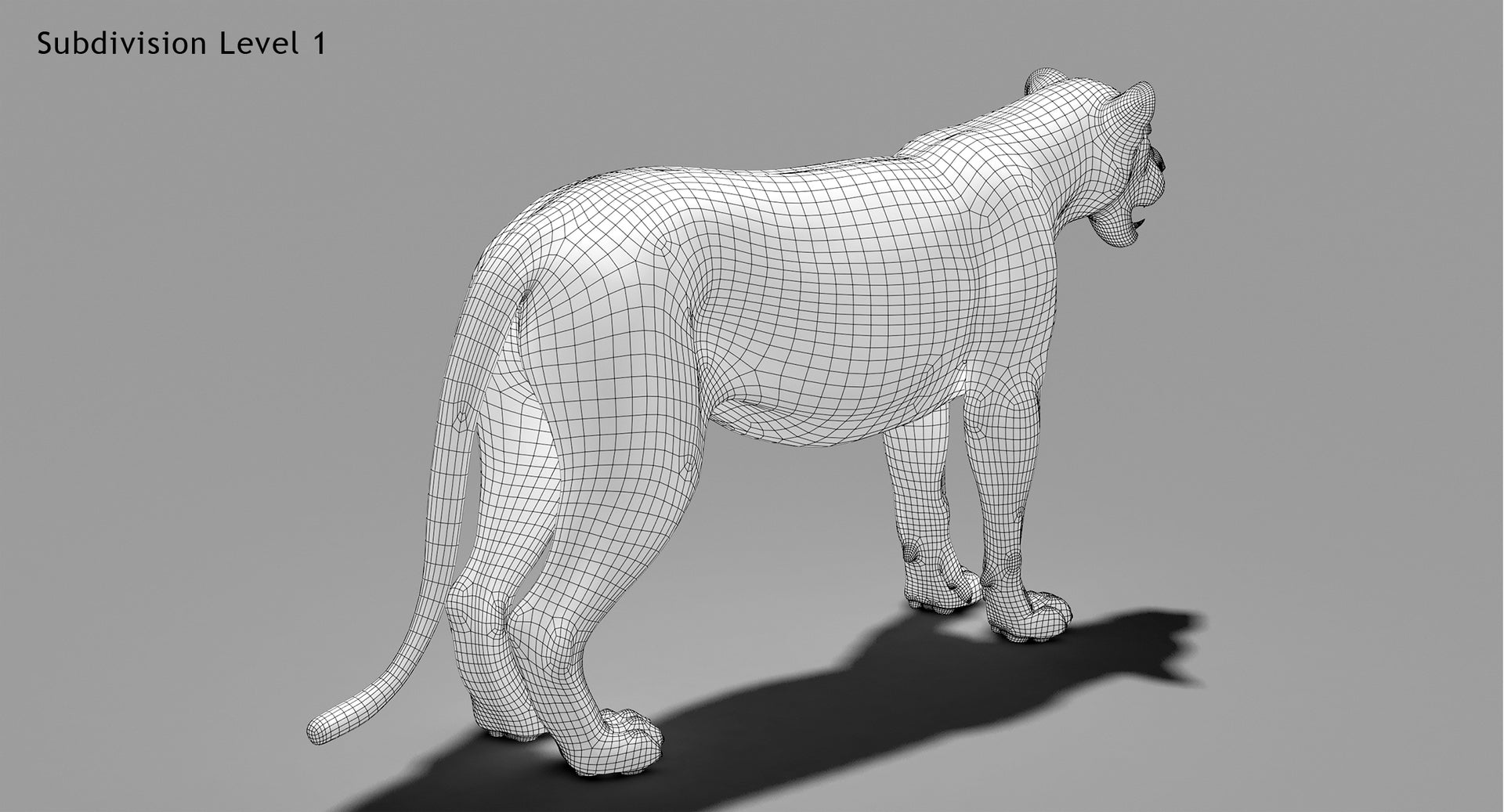 Lion 3D Model Wireframe View Subdivision Level 1 - From Back Side