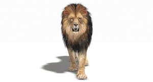 Realistic Lion 3D Model for Download Thumbnail