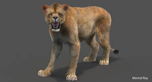 Rigged Lioness 3D Model with Lifelike Fur Thumbnail