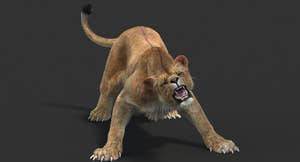 Rigged Lioness 3D Model with Realistic Fur Thumbnail