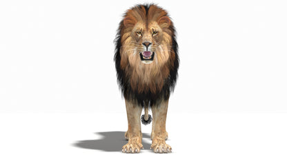 Big Cats 05 3D Model