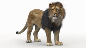 Rigged Lion 3D Model with Realistic Fur Thumbnail