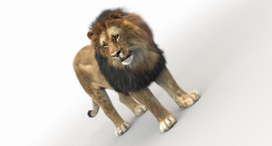 Rigged Lion 3D Model with Realistic Fur Thumbnail
