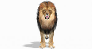 Big Cats 05 3D Model Thumbnail