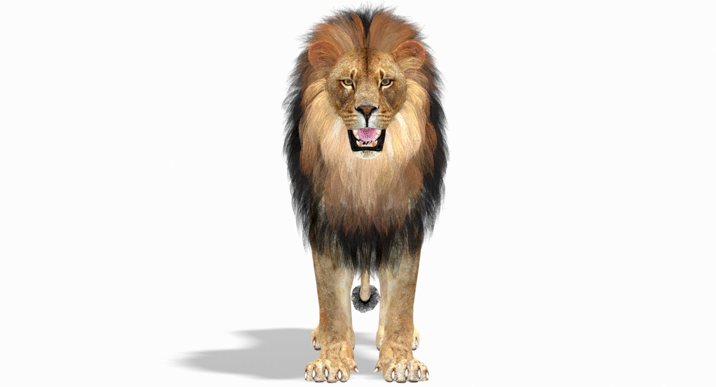 Big Cats 05 3D Model