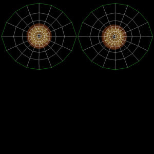 Lion 3D Model Eyes UVs