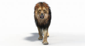 Lion 3D Model with animations Thumbnail