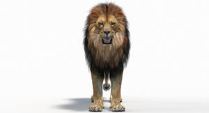 Big Cats 05 3D Model Thumbnail