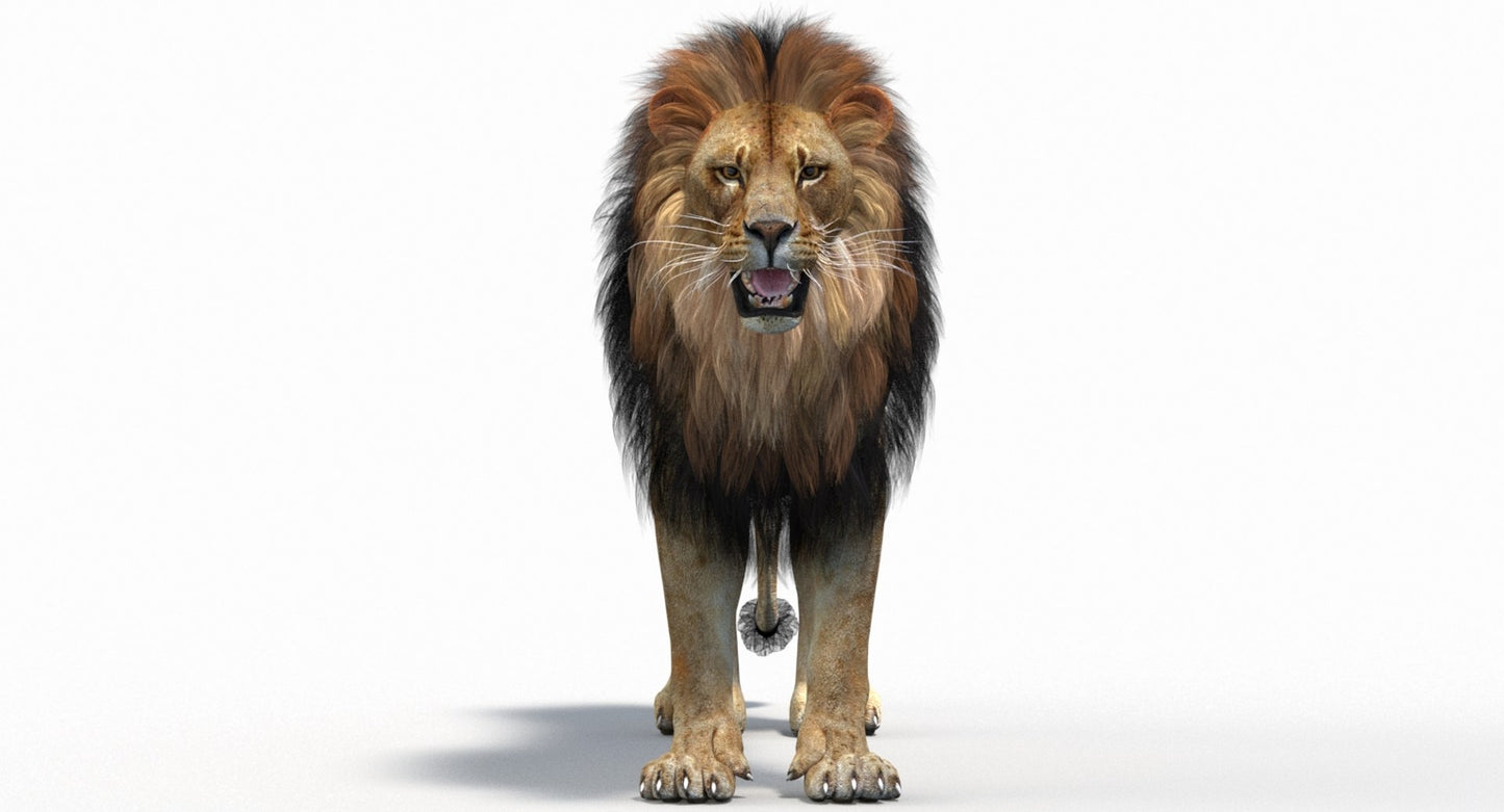 Big Cats 05 3D Model