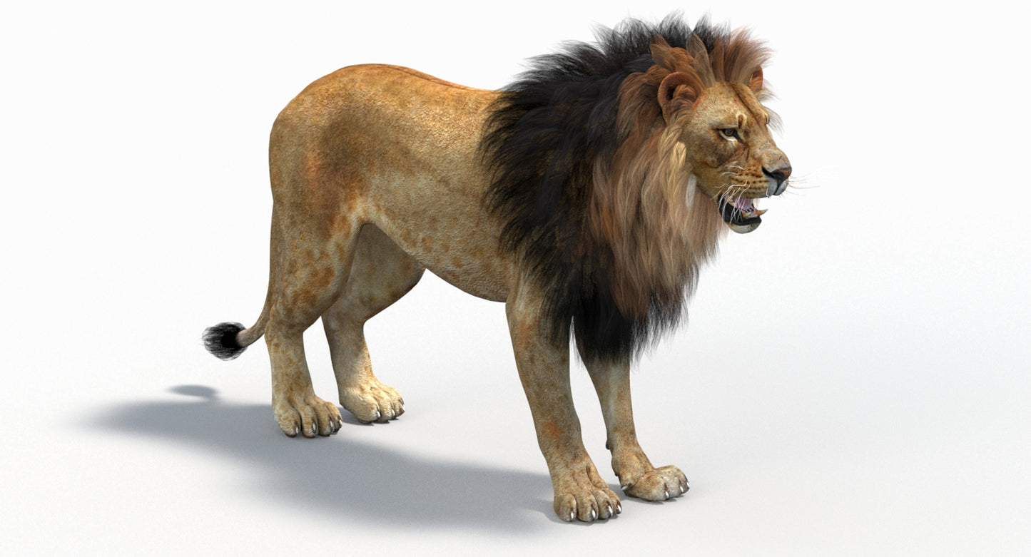 Big Cats 05 3D Model
