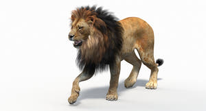 Animated Lion 3D Model for Download Thumbnail