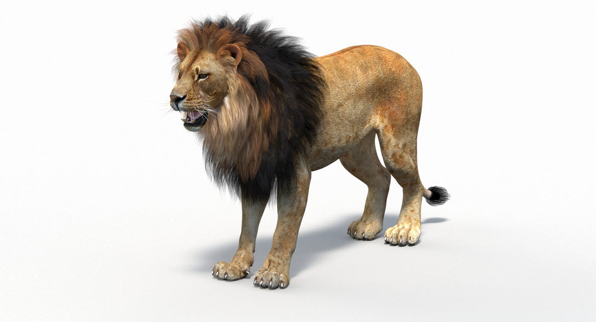 Big Cats 05 3D Model
