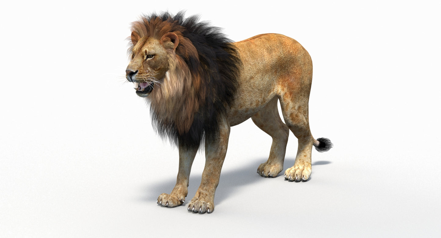Big Cats 05 3D Model