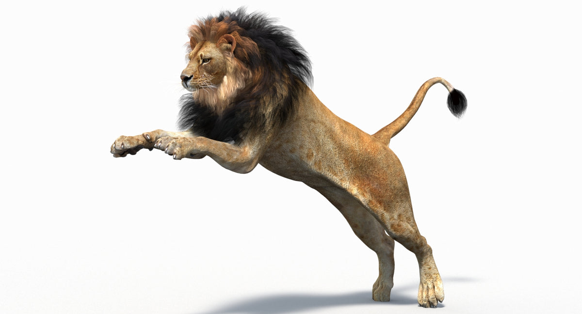 Leaping lion 3D model for your game project