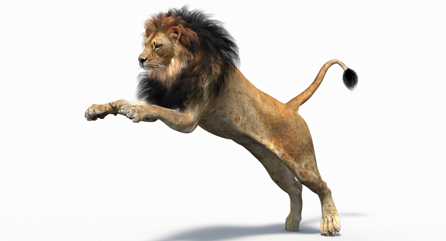 Leaping lion 3D model for your game project