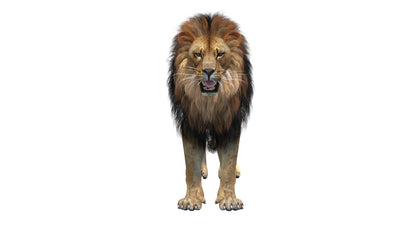 Big Cats 05 3D Model