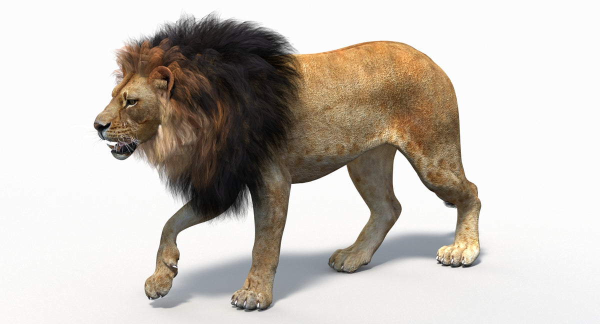 3D rendering of a lion on a white background