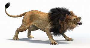3D rendering of a roaring lion on a white background Thumbnail