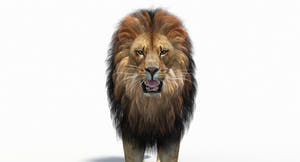 Game-Ready Animated Lion 3D Model (Polygonal Mane) Thumbnail