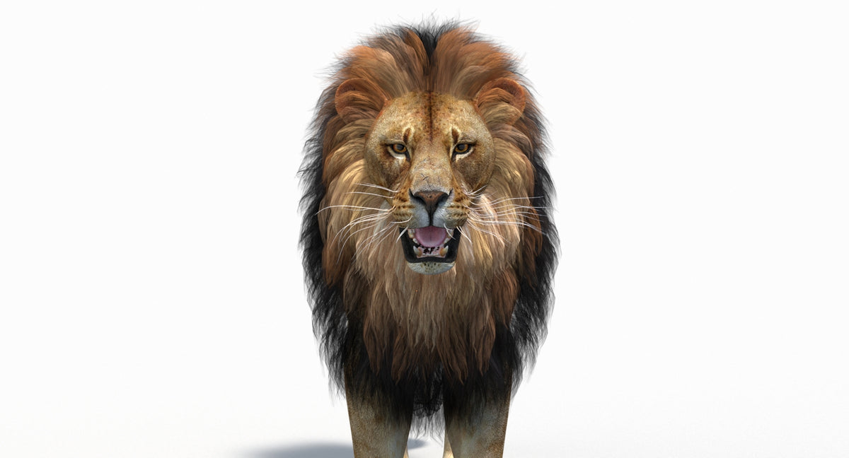 Game-Ready Animated Lion 3D Model (Polygonal Mane)