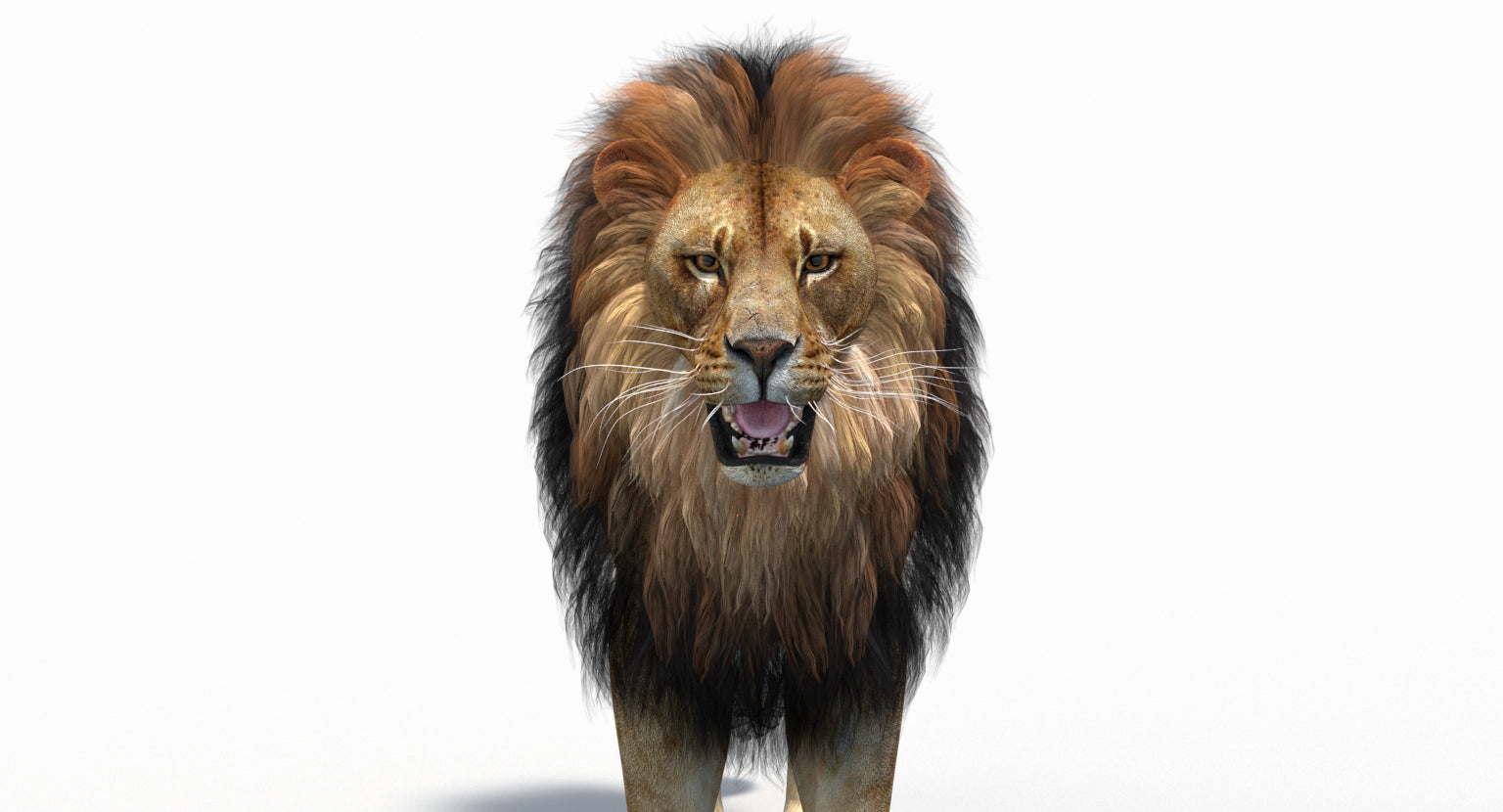 Animated lion 3d model for download
