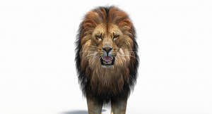 Animated lion 3d model for download Thumbnail